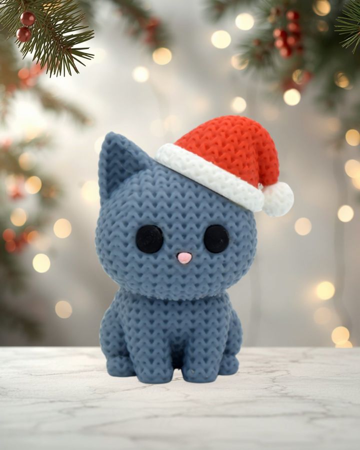 Gato con Gorro Navideño, foto 1 de 6